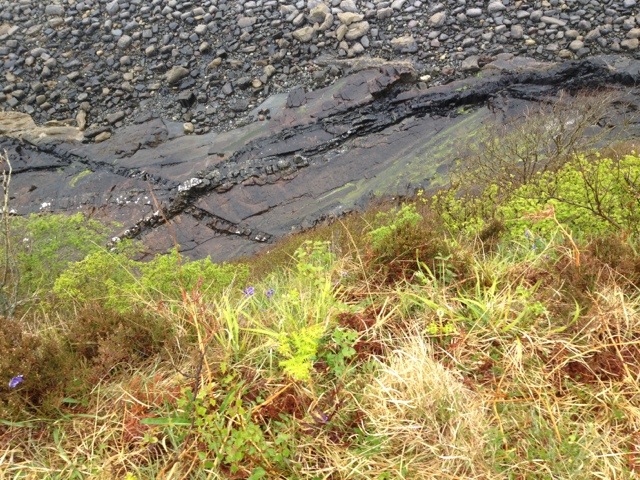 20120511-171240.jpg