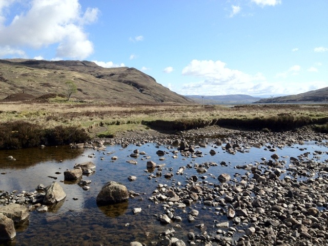 20120512-195942.jpg
