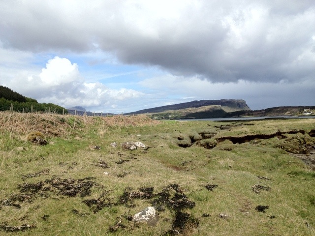 20120512-200419.jpg