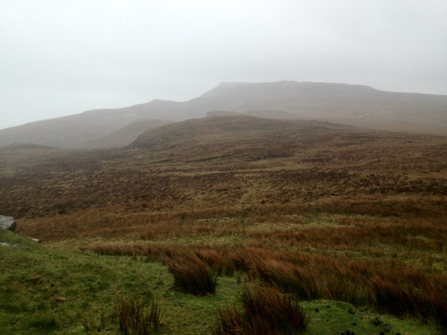 20120513-164745.jpg