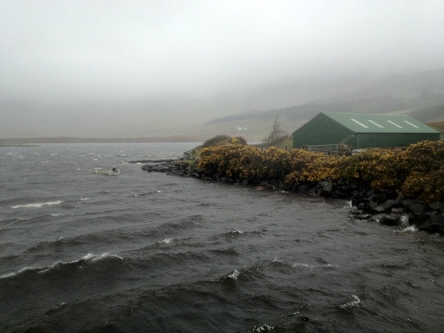 20120513-164908.jpg