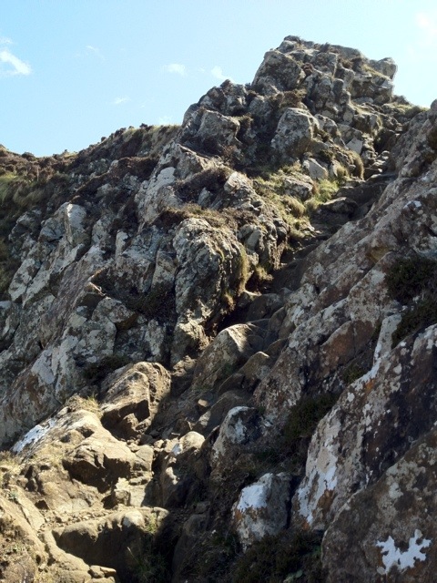 20120515-212104.jpg