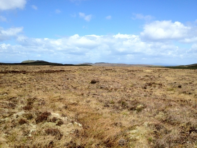 20120517-105007.jpg