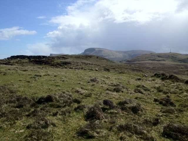 20120517-105411.jpg